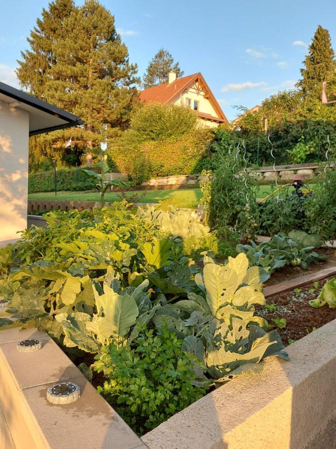 Privatzimmer Roland Hutten Екстер'єр фото