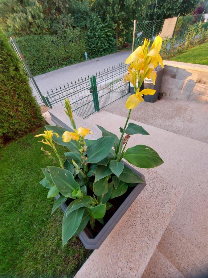 Privatzimmer Roland Hutten Екстер'єр фото